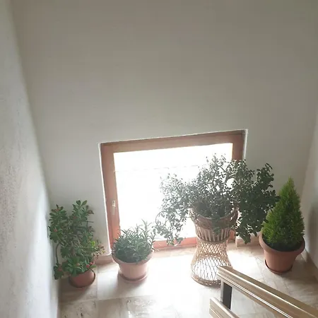 Darko Apartment *